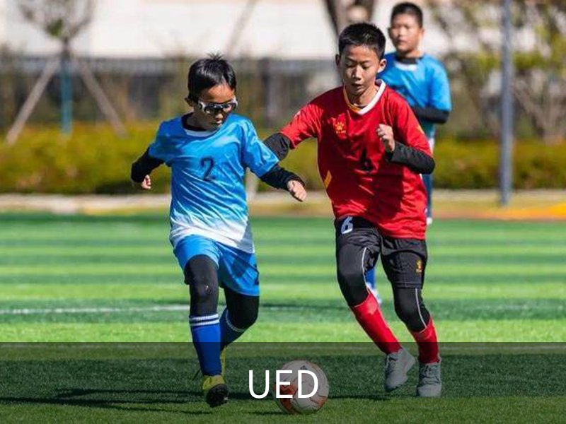 UED概况